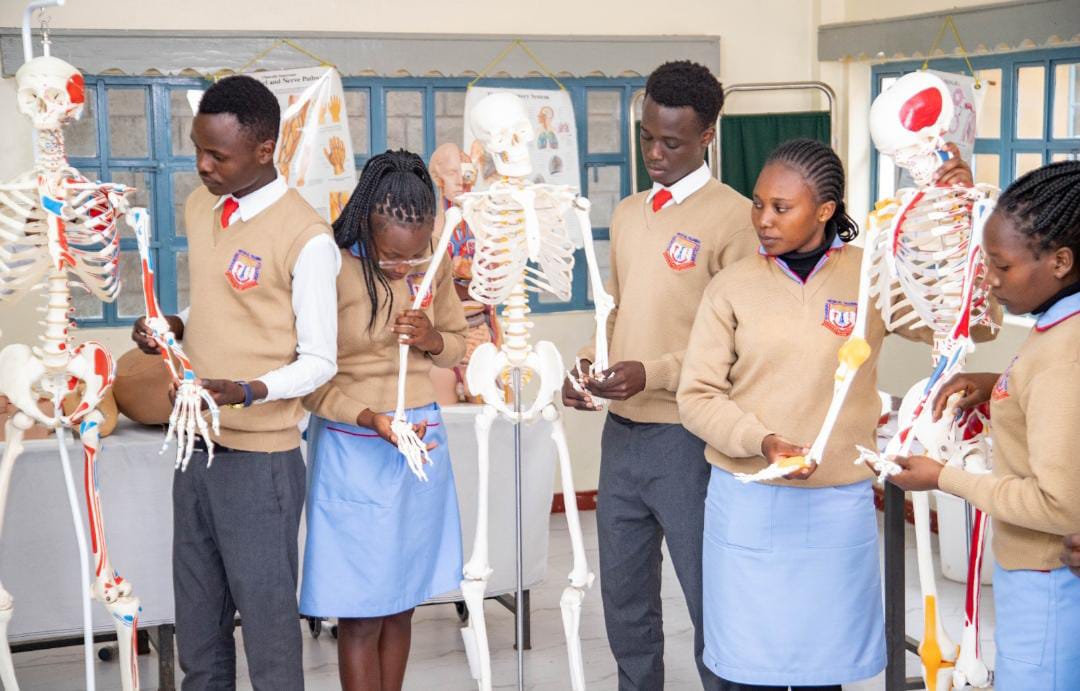 Orthopaedic and Trauma